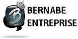 Logo-bernabe-entreprise-64[1]